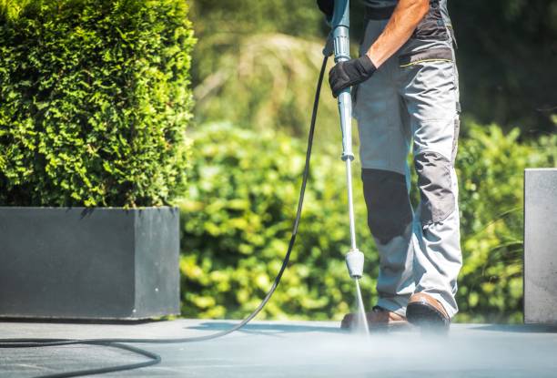 Best Sidewalk and Walkway Cleaning  in Vernonia, OR
