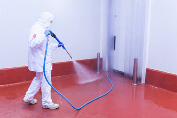 Best Post-Construction Pressure Washing  in Vernonia, OR