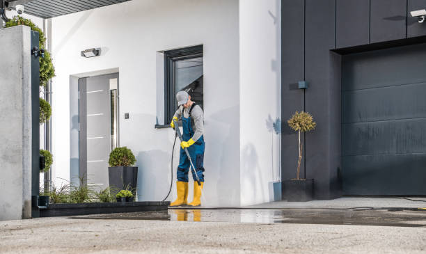 Best Pre-Holiday Cleaning  in Vernonia, OR